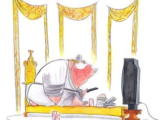 
                                                            ann telnaes sweden 31