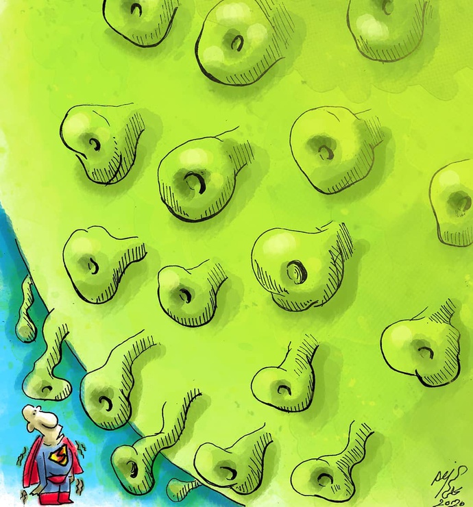 By: علی قناعت