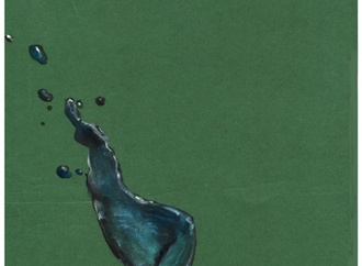 
                                                            jose raymundo costa do nascimento brazil 2