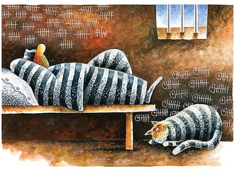 
                                                            constantine kazanchev ukraine 12