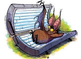 
                                                            kevin rechin usa 118