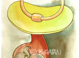 
                                                            biratan porto brazil 34