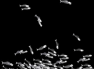 
                                                            riber hansson sweden 56