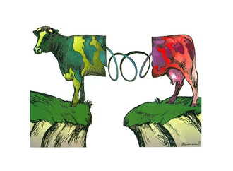 
                                                            jozef bendziecha poland 104