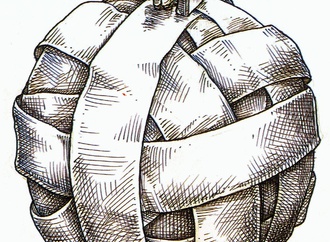 
                                                            antonio neri licon mexico