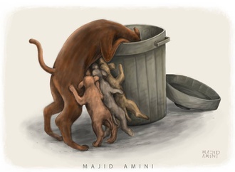 
                                                            majid amini 16