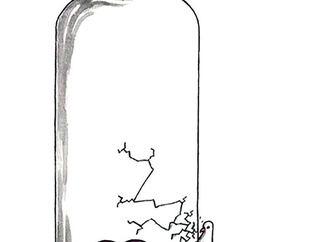 
                                                            silvano mello brazil 60