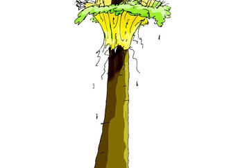 
                                                            andrey klimov russia 1