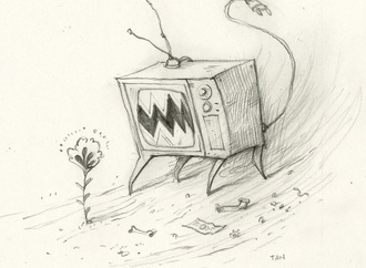 
                                                            shaun tan 4