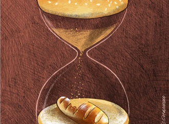 
                                                            marcelo chamorro ecuador 119