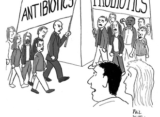 
                                                            anti vs probiotics