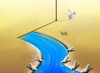 
                                                            ayat naderi iran 14