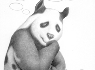 
                                                            paolo dalponte italy 50