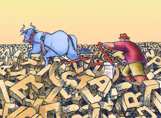 
                                                            lido contemori italy 24