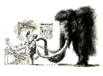 
                                                            sergei bobylev russia 22