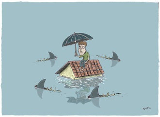 
                                                            roberto netto brazil 42