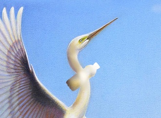 
                                                            bahman jalali nokadeh iran 3