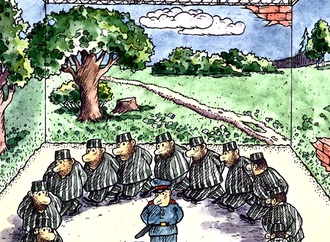 vladimir semerenko 19