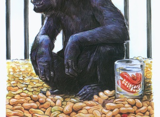 
                                                            marco d agostino italy