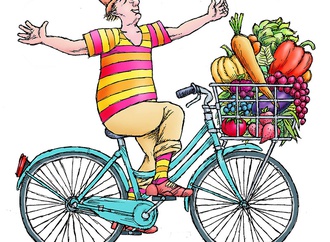 
                                                            lido contemori italy 23