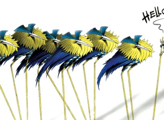 
                                                            nekra nexhat krasniqi albania 64