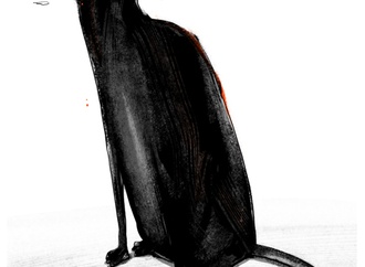 
                                                            farhad bahrami reykani iran 13