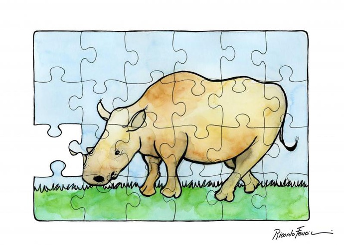 By: ریکاردو فریرا