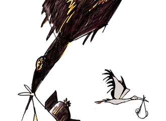 
                                                            cristobal reinoso argentina 7