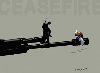 
                                                            luc descheemaeker 8