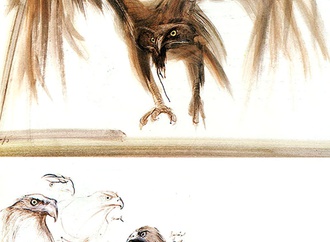 
                                                            ralph steadman uk 67