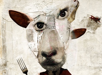 
                                                            antonello silverini italy 1