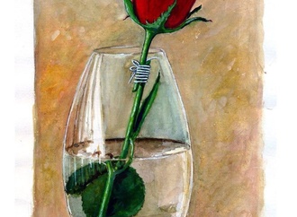 
                                                            murat ahmeti 5