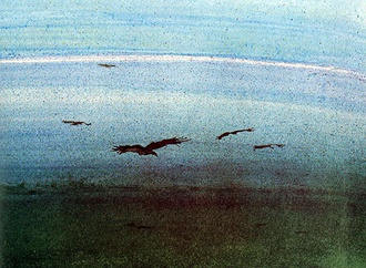 
                                                            ralph steadman uk 66