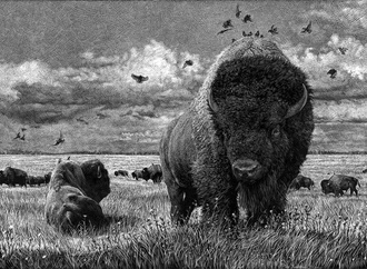 
                                                            ricardo martinez chile 116