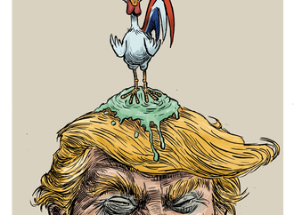 
                                                            dario castillejos mexico 14