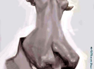 
                                                            gilbert daroy philippines 33