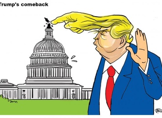 
                                                            j bosco brazil 57
