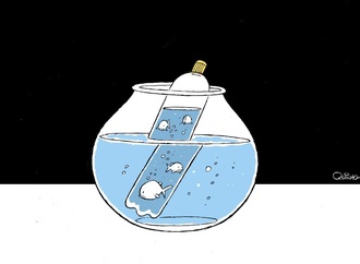 
                                                            quinho ravelli cartum 4