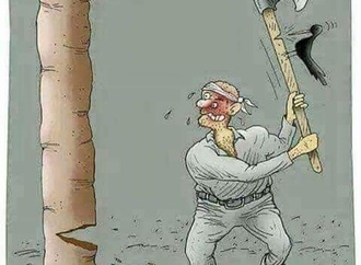 قطع درختان