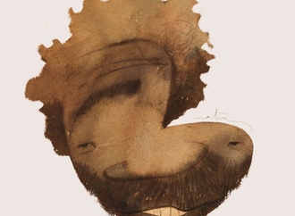 
                                                            matias tolsa montedoro 25
