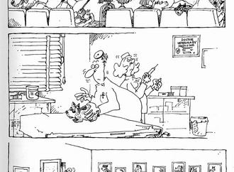 
                                                            گالری کارتون های آراگونز از مکزیک