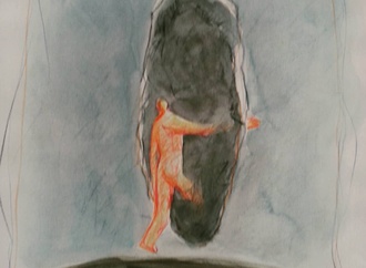 
                                                            farhad foroutanian 23