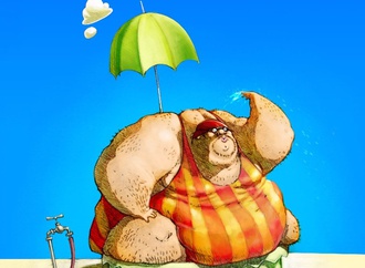 
                                                            mohammad aflak 3