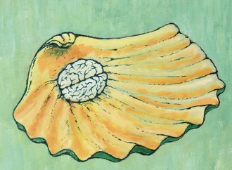 
                                                            george licurici romania 72