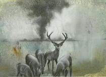 نمایشگاه مجازی تصویرسازی محیط زیست گروه توما