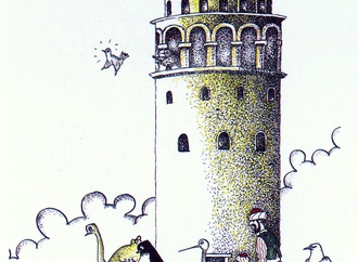
                                                            yilmaz muslu turkey