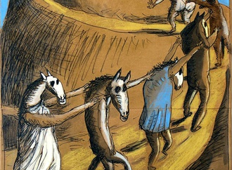 
                                                            daniel maja france 18