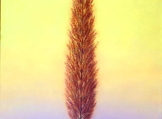 
                                                            gurbuz dogan eksioglu turkey 109