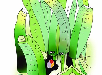 
                                                            turgay karadag turkey 6