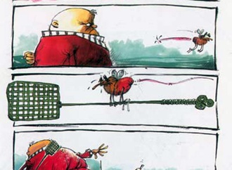 
                                                            hamid bahrami iran 6